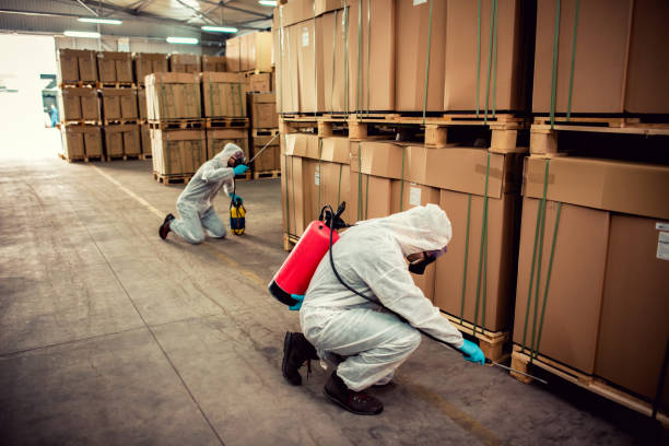 Best Pest Inspection Near Me  in Lo, HI