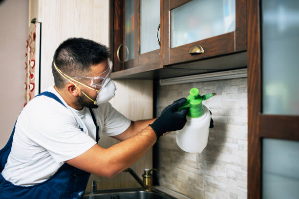 Best Best Pest Control Companies  in Lo, HI