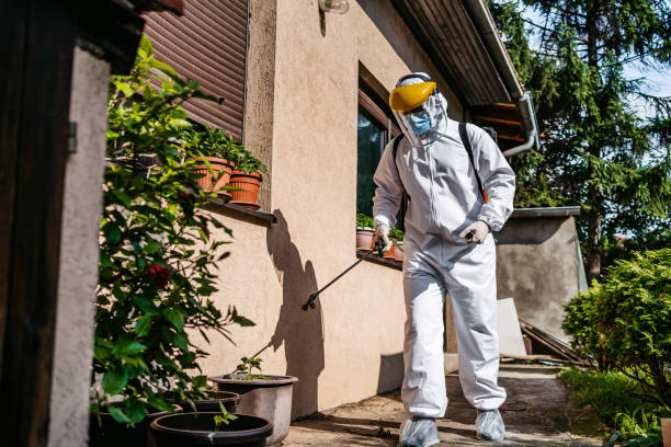Wildlife Control Services in Hilo, HI
