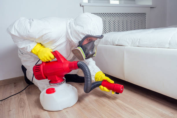 Best Cockroach Control Services  in Lo, HI