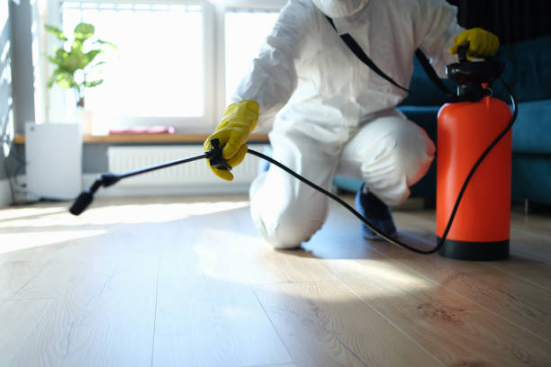 Best Flea Control Services  in Lo, HI