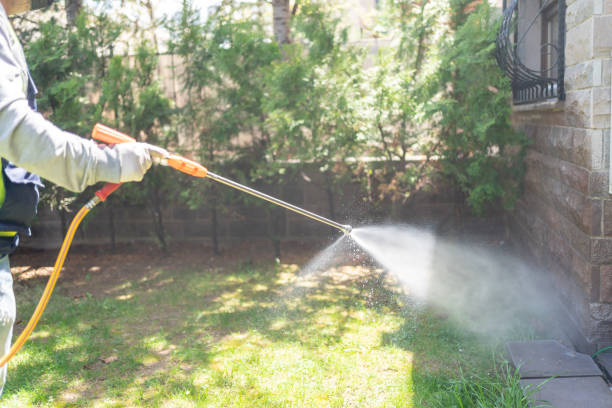 Best Cockroach Control Services  in Lo, HI