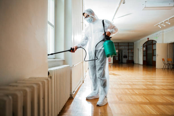 Best Pest Control for Homes  in Lo, HI