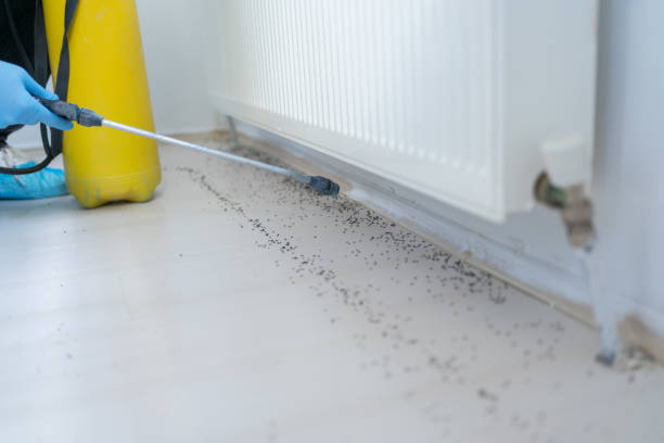 Best Commercial Pest Control Services  in Lo, HI
